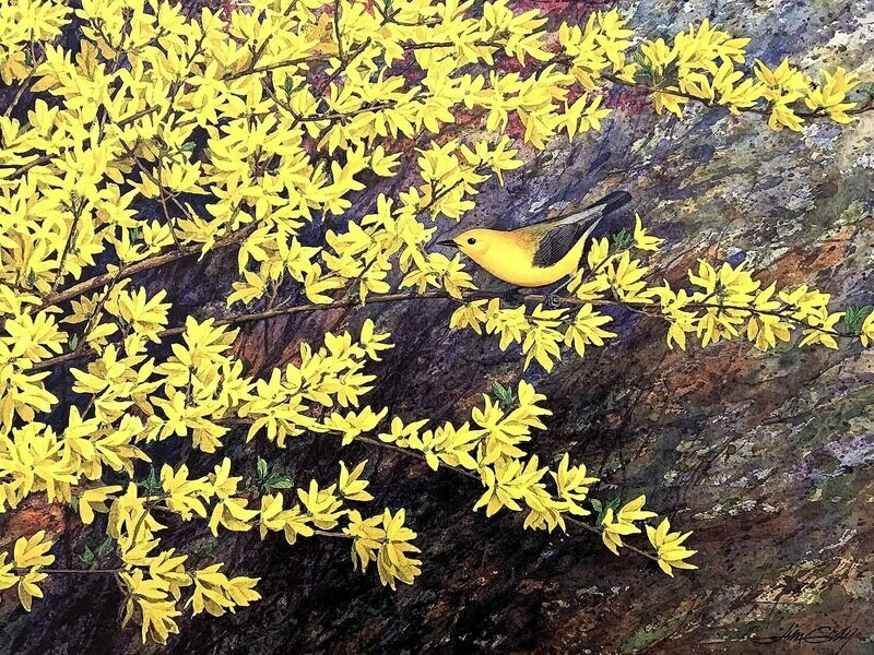 GOLDEN SPRING - Litho-23 x 17