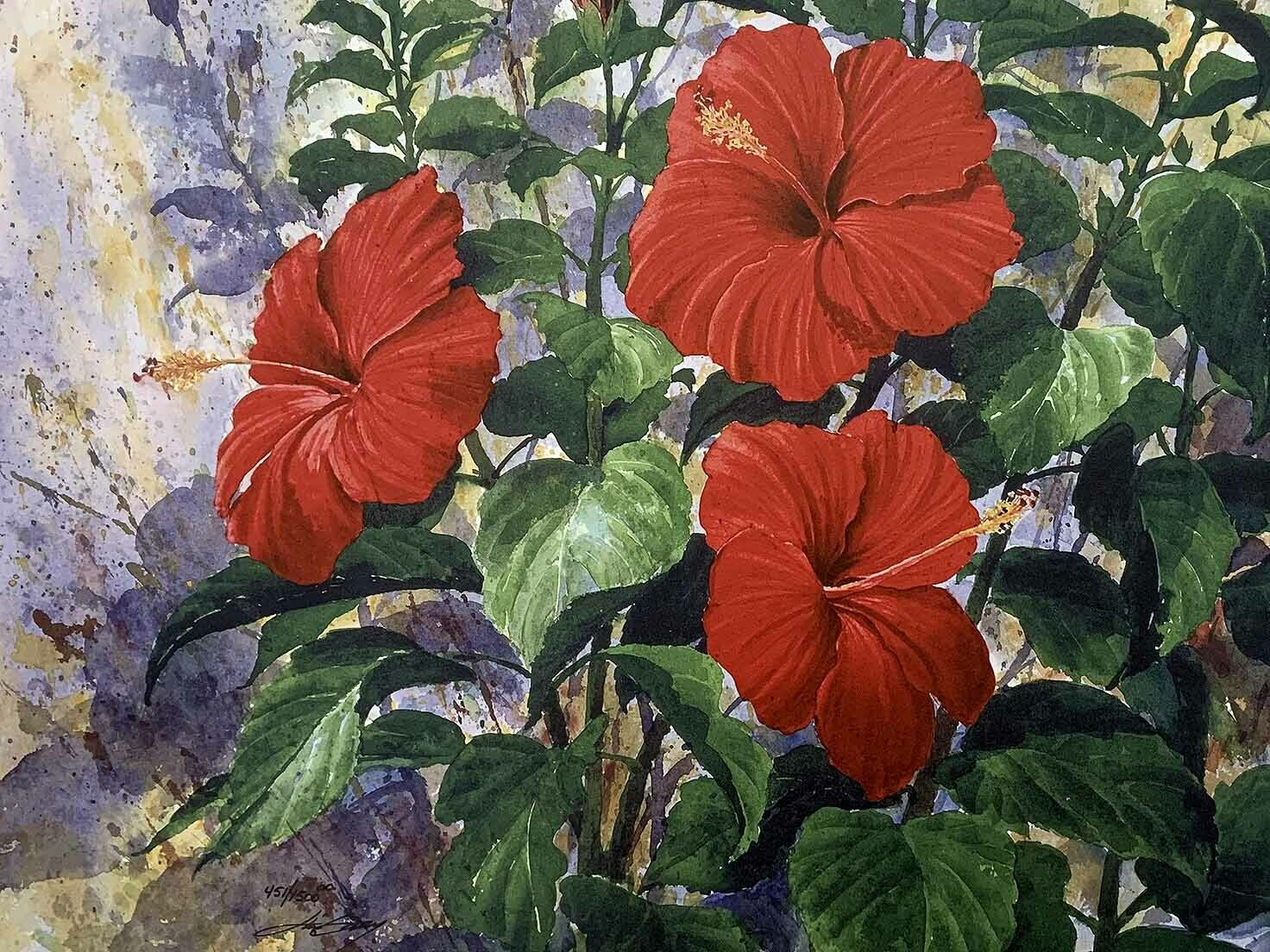 HIBISCUS - Litho-18 ½  x 16 ½