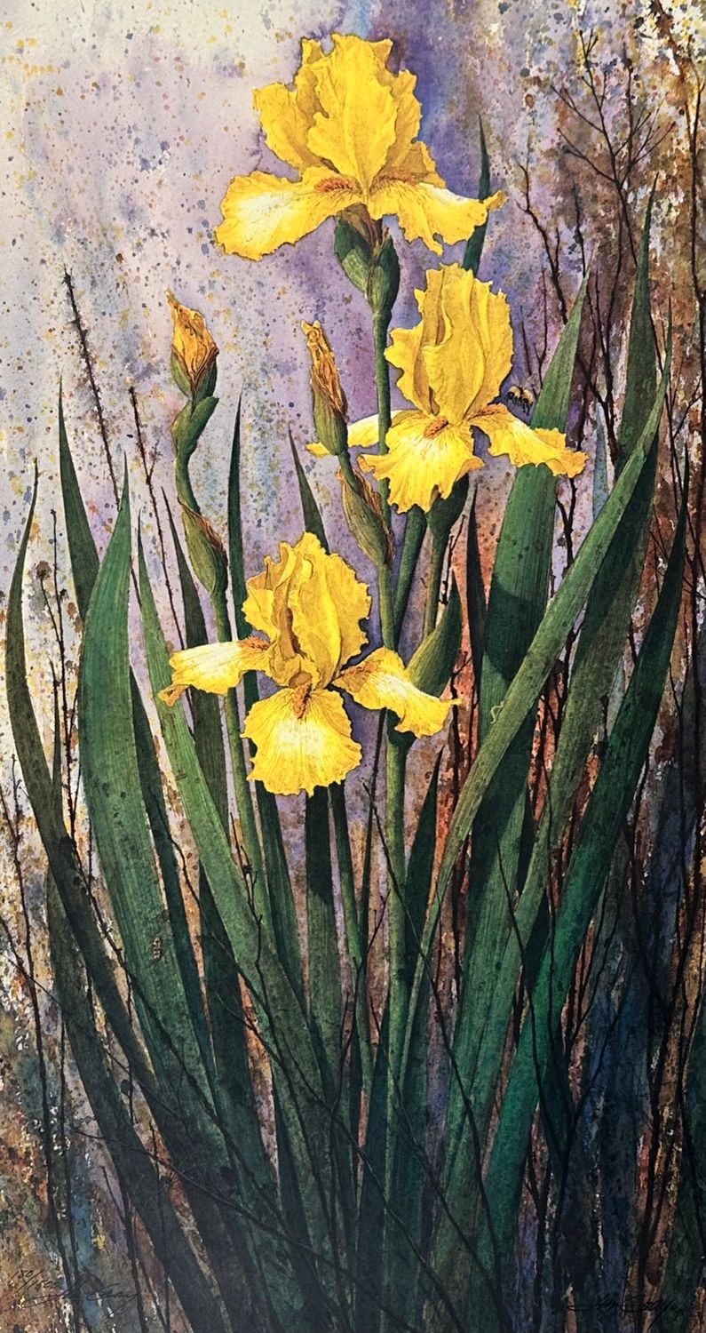FRANNIE&#39;S IRIS - Litho-11 x 21
