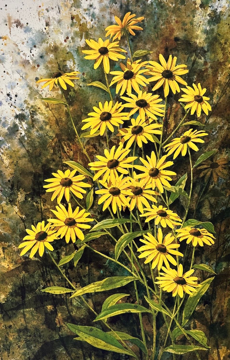 BLACK EYED SUSAN - Litho-12 x 19