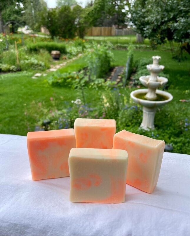 Grapefruit Soap Bar