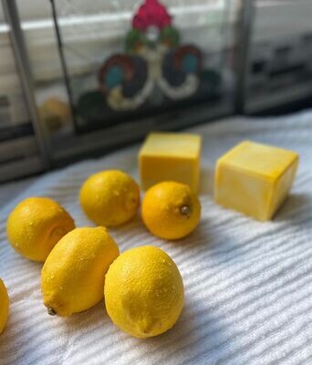 Lemon Dish Soap Block
