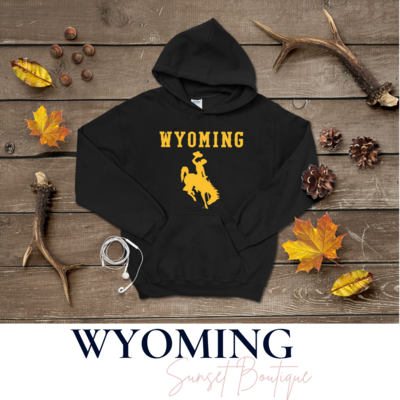 Wyoming Steamboat Hoodie