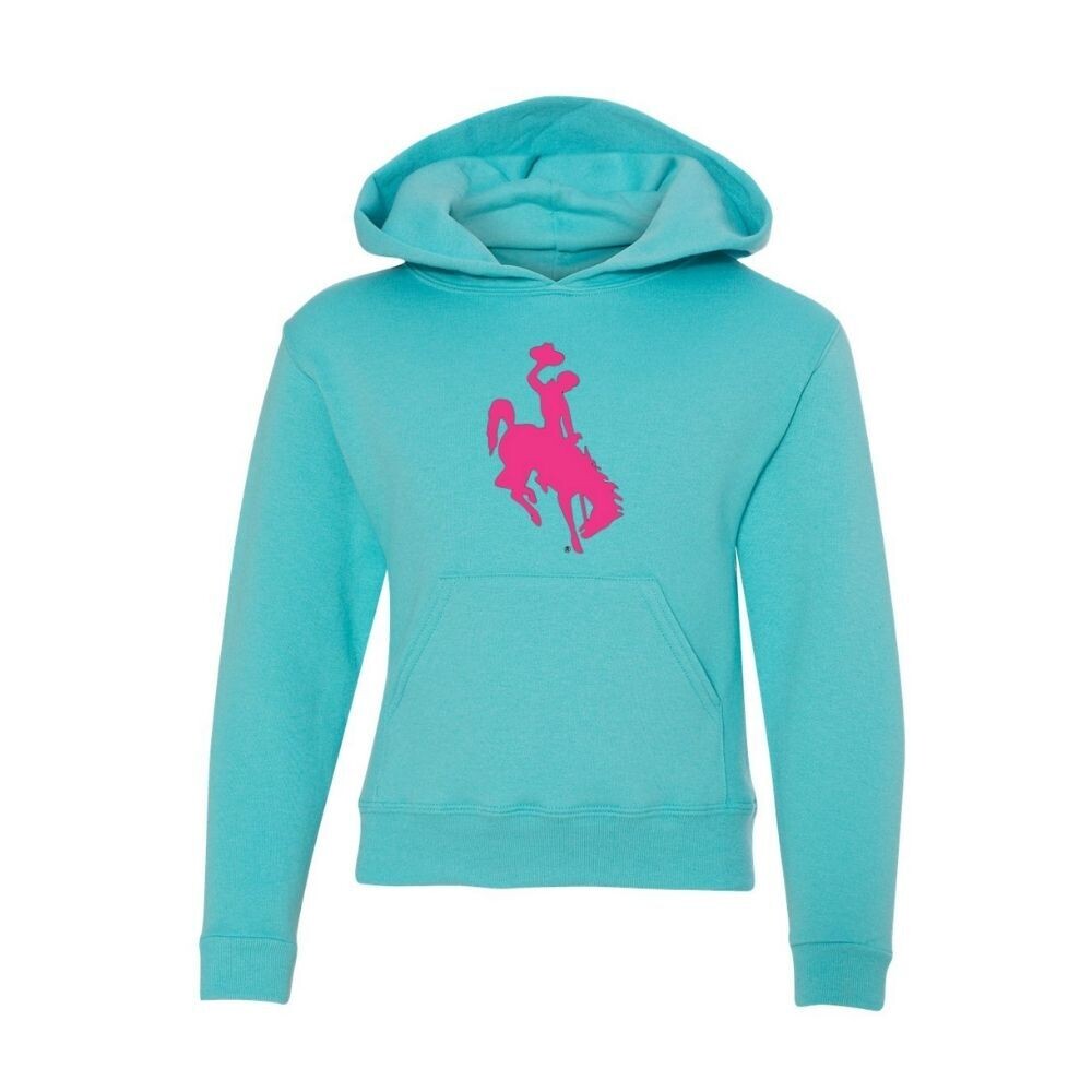 Wyoming Steamboat Youth Hoodie