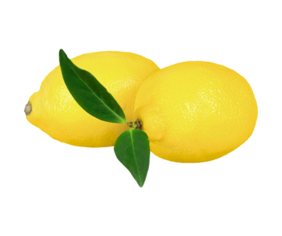 Lemons (PACK OF 3)