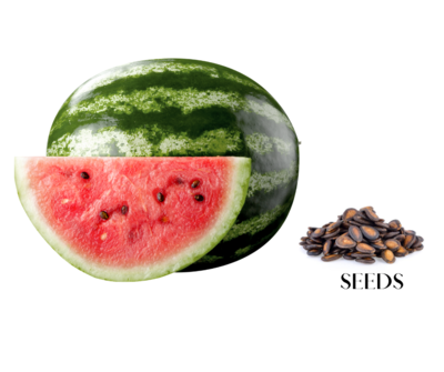 Watermelon Seeds - Melody (1,000 seeds)