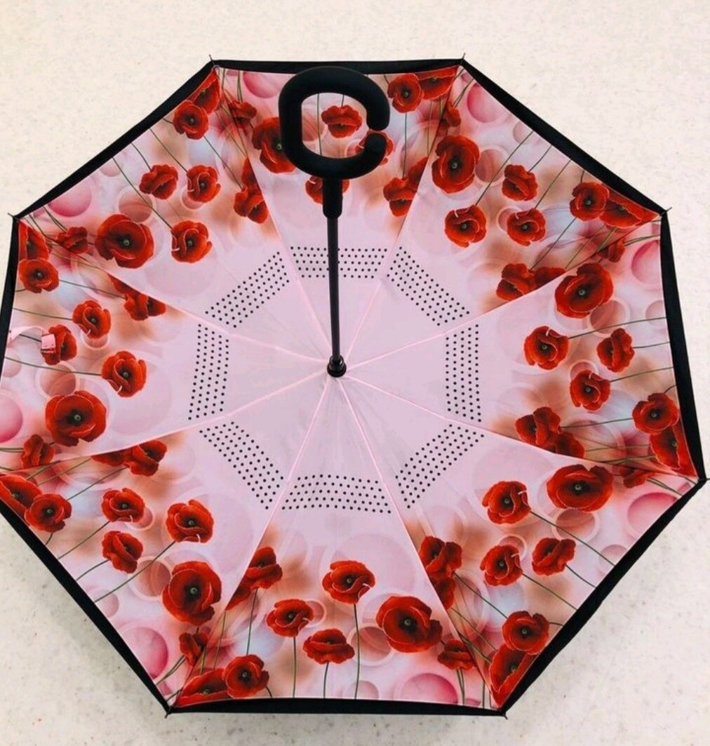 Inside Out Umbrella