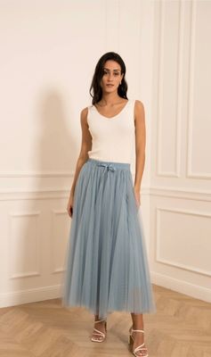 Tulle Skirt in Blue