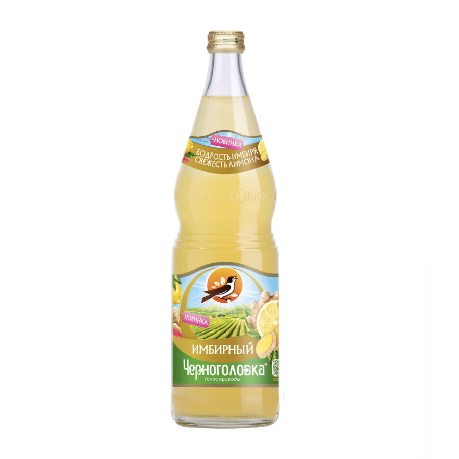 Напиток «Имбирный лимонад» 1 л., ст/бут. 6 шт (Напитки из Черноголовки)