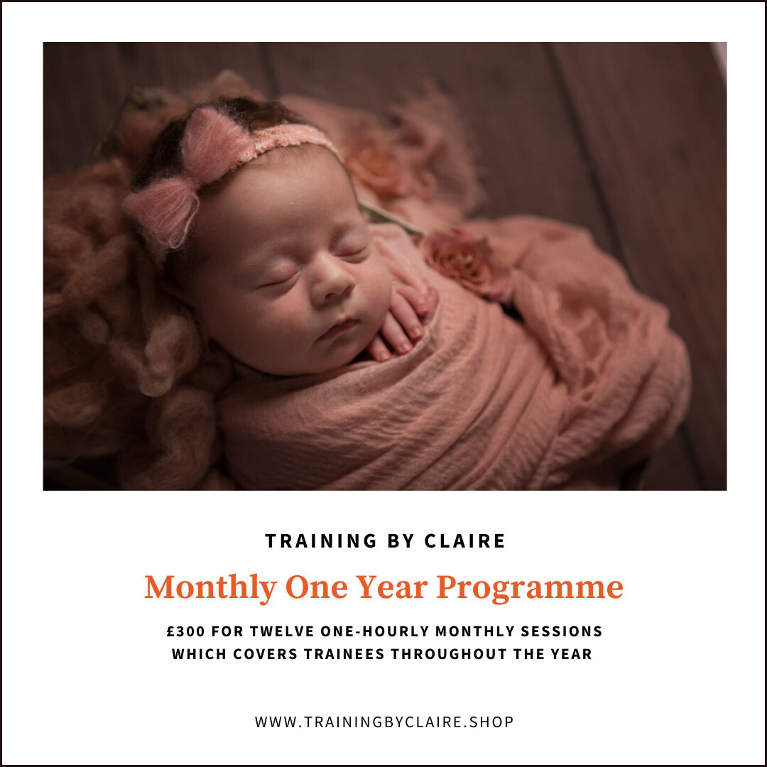 One Year Mentoring Programme