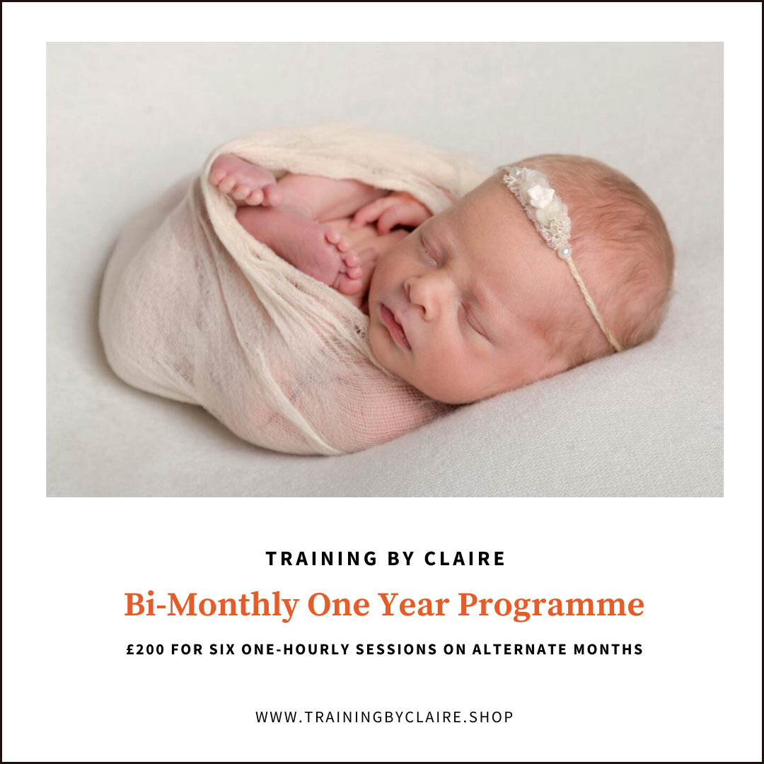 Bi-Monthly One Year Programme