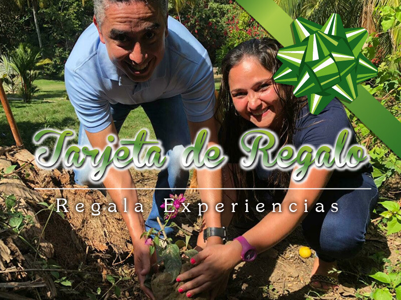 Regala Experiencias