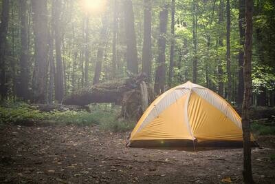 Tents & Shelters