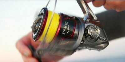 Spin Reels