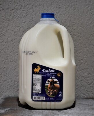 Milk - 2% - Gallon - DD