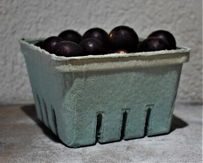 Grapes - Purple Muscadines QT - CM