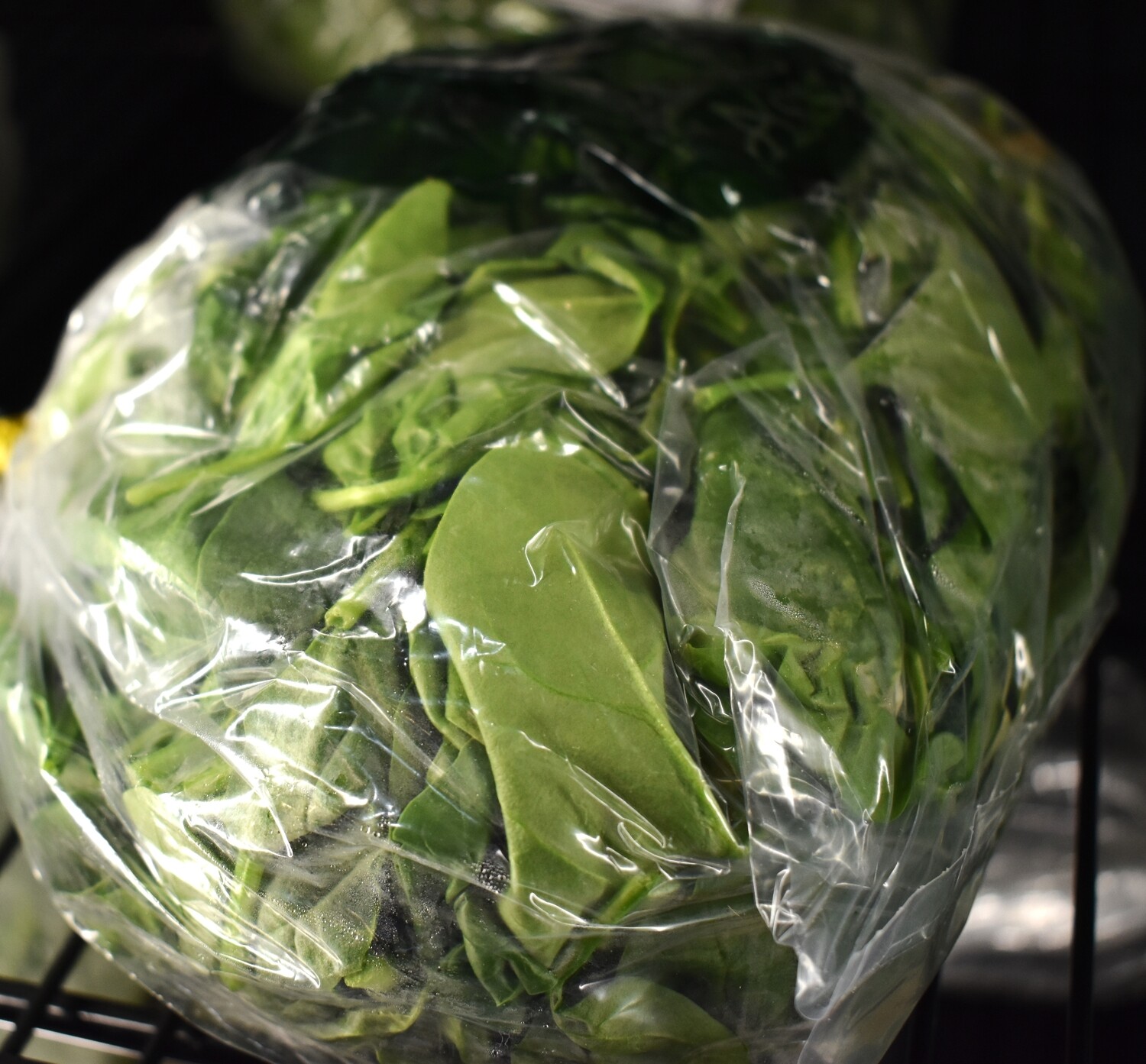 Greens - Spinach - HFS