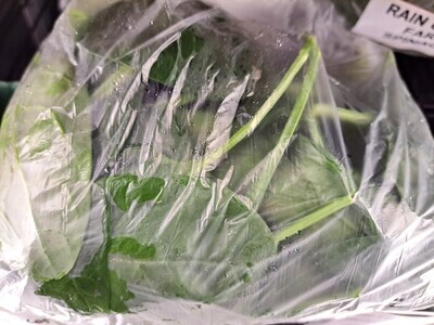 Greens - Spinach - RCF