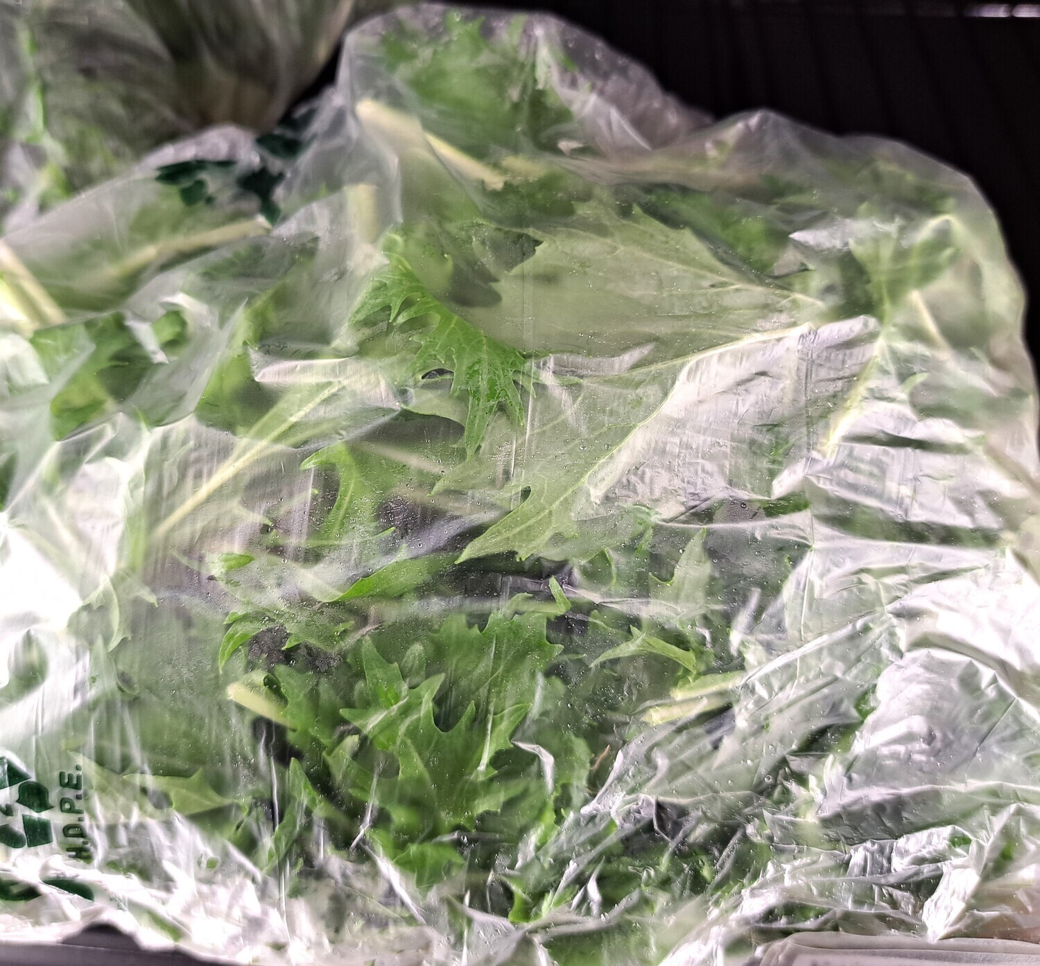 Greens - Mizuna - RCF