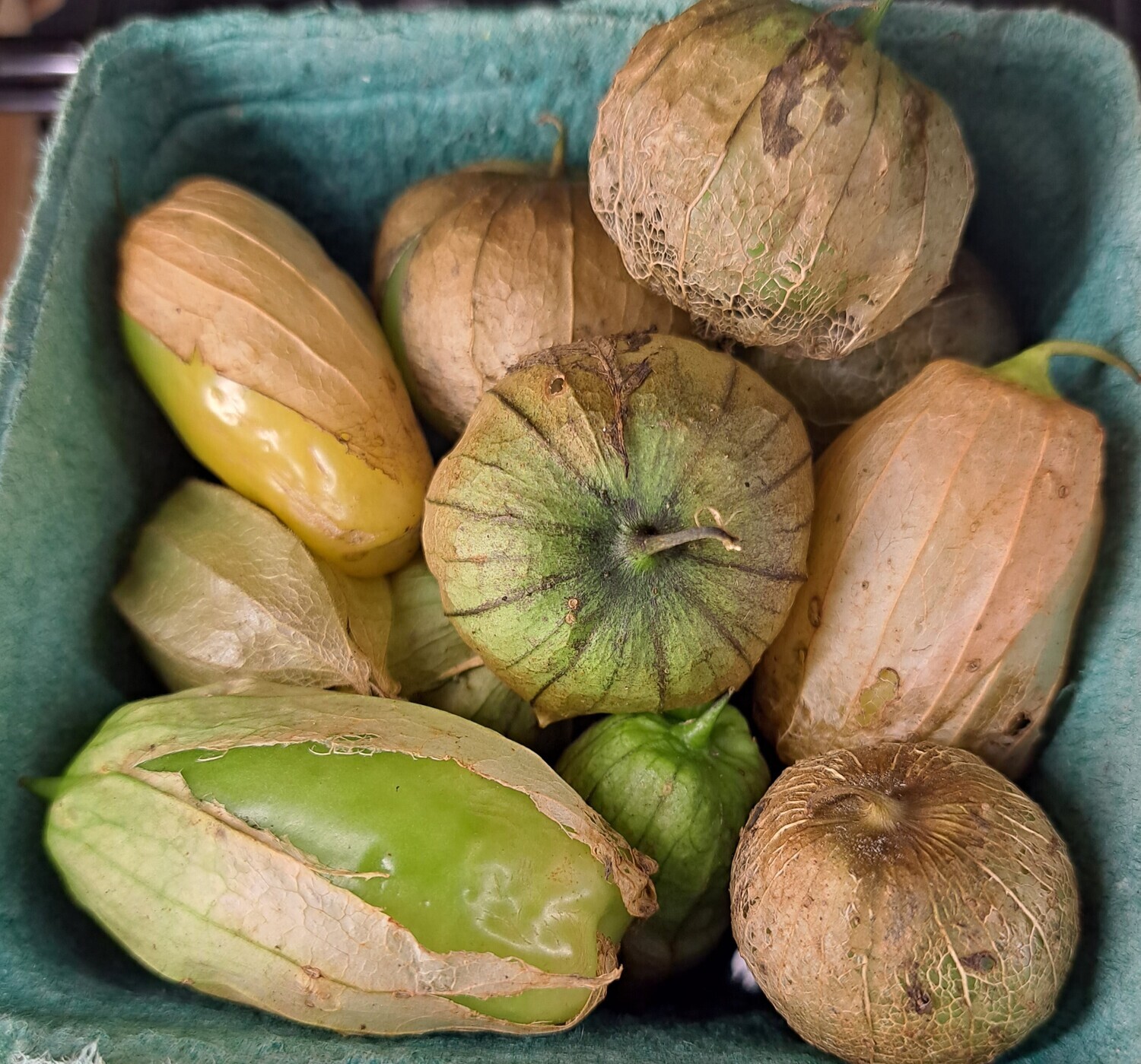Tomatillos - DG