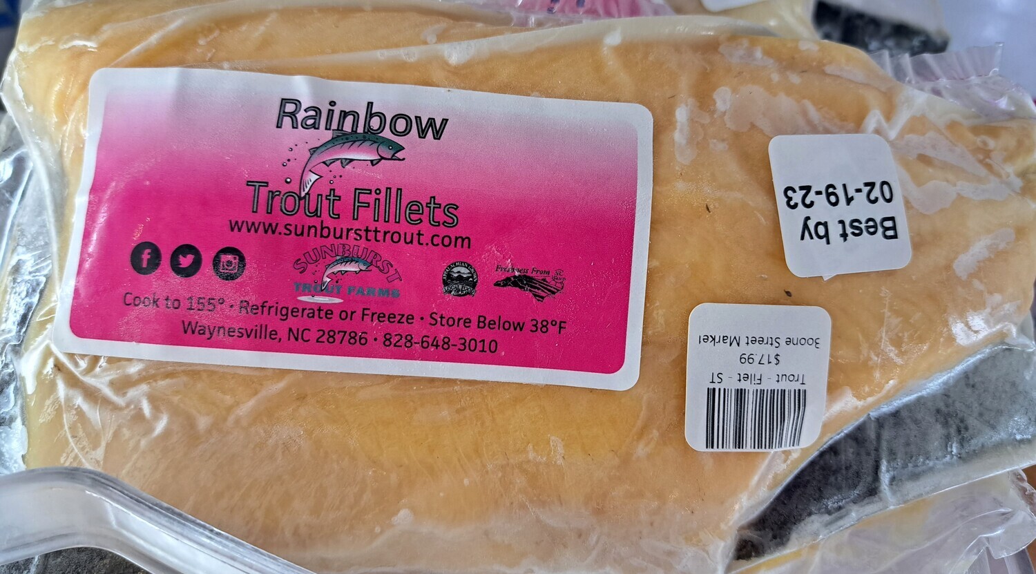 Trout - Filet - ST
