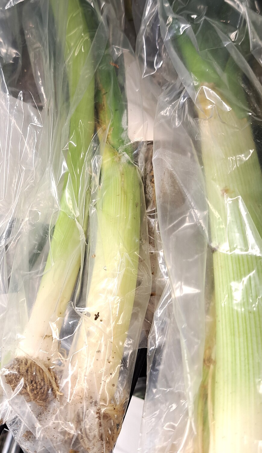 Leeks - Trosly