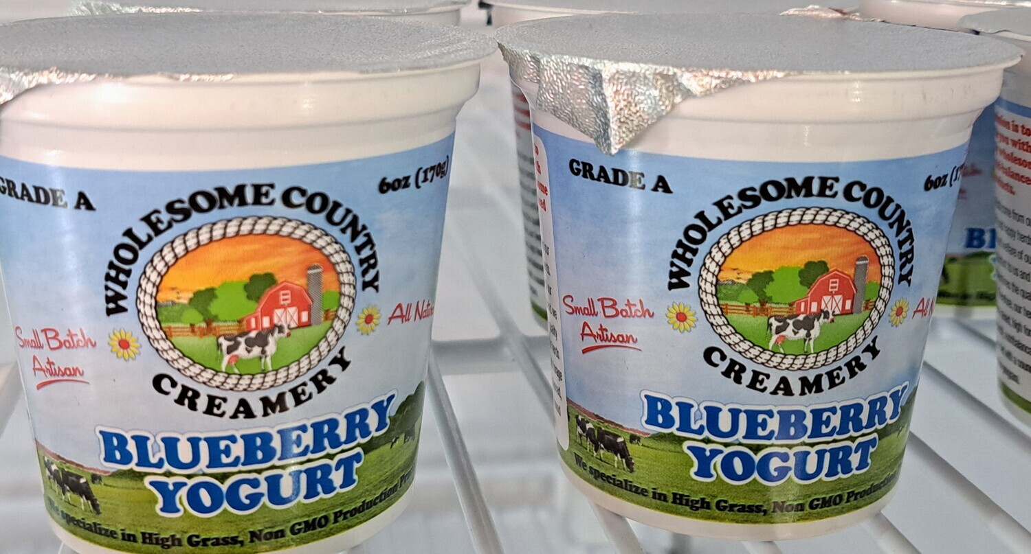 Yogurt - Blueberry - 6 oz - WCC