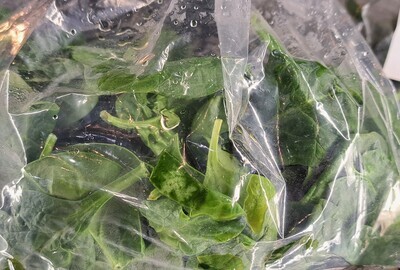 Greens - Spinach - Trosly