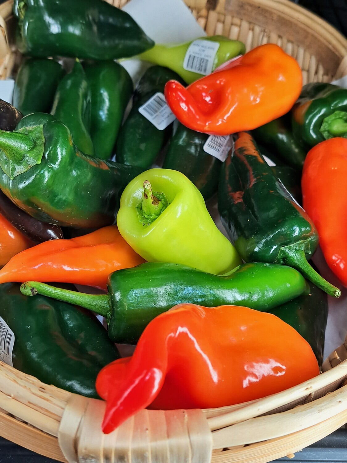 Peppers - Poblano - DG