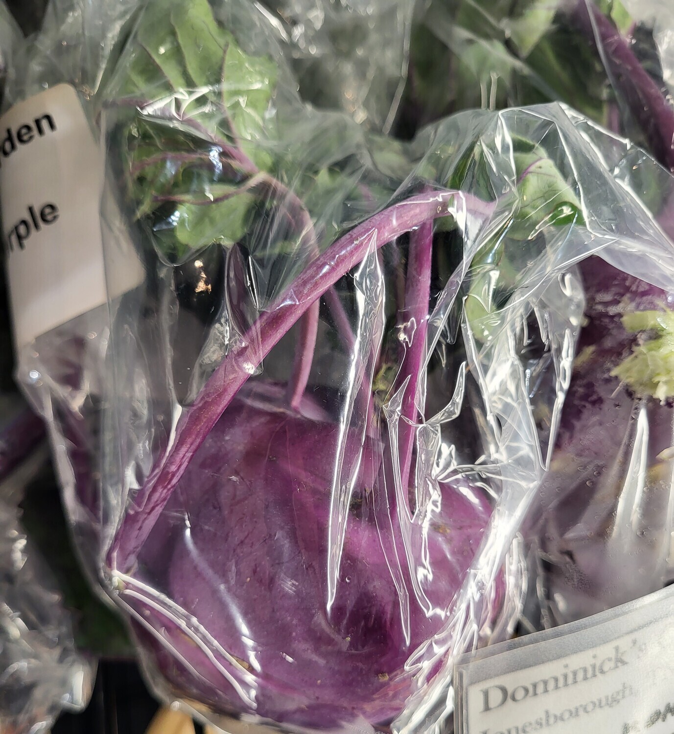 Kohlrabi - Purple - DG