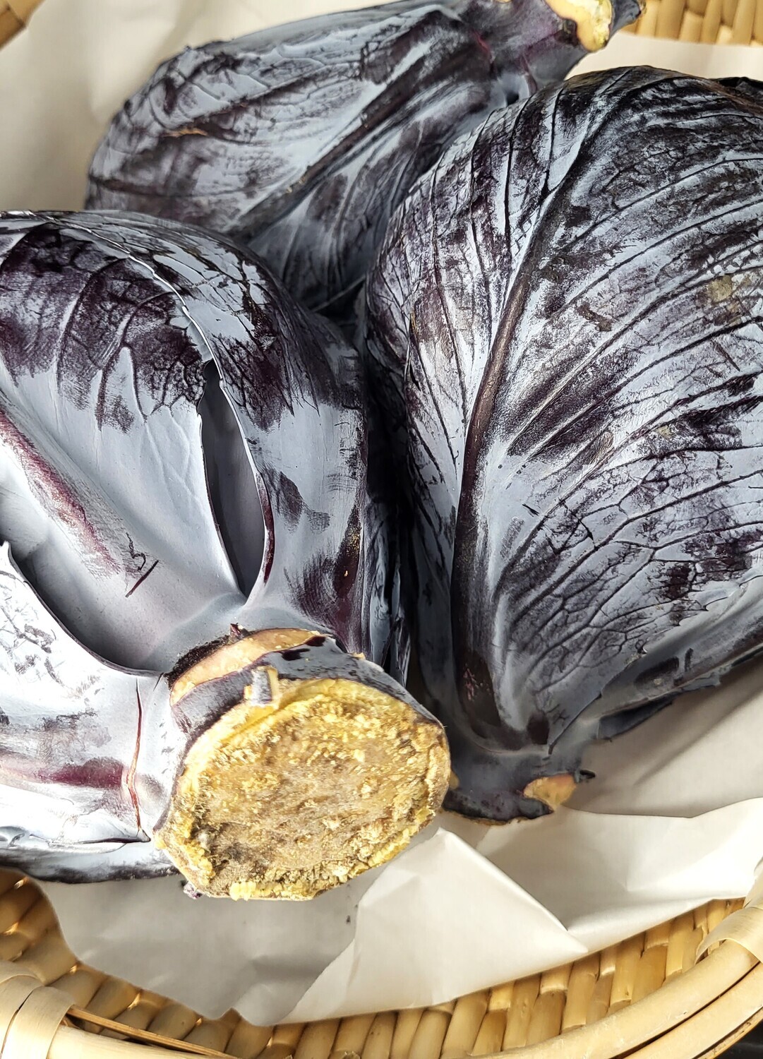 Cabbage - Red - Trosly