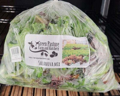Greens - Salanova Mix - GPF