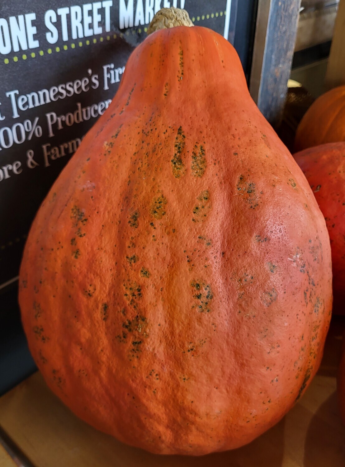 Squash - Hubbard - Large - BTO