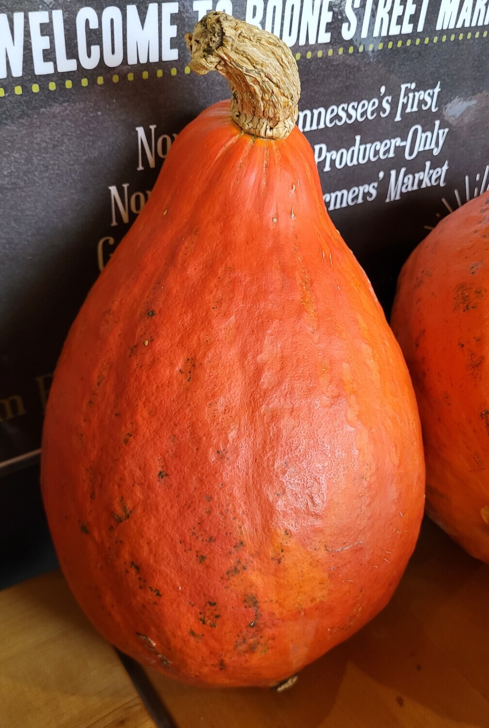 Squash - Red Hubbard - BTO