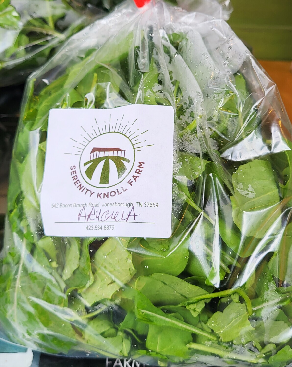 Greens - Arugula - SKF