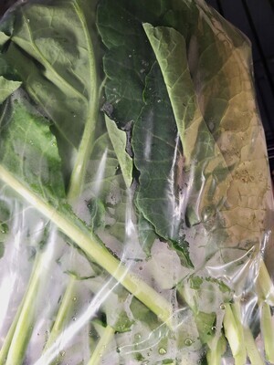 Greens - Collards - SKF