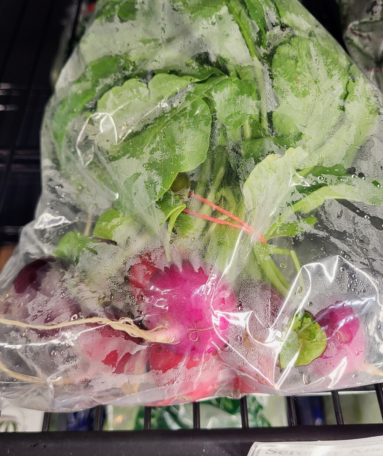 Radishes - SKF