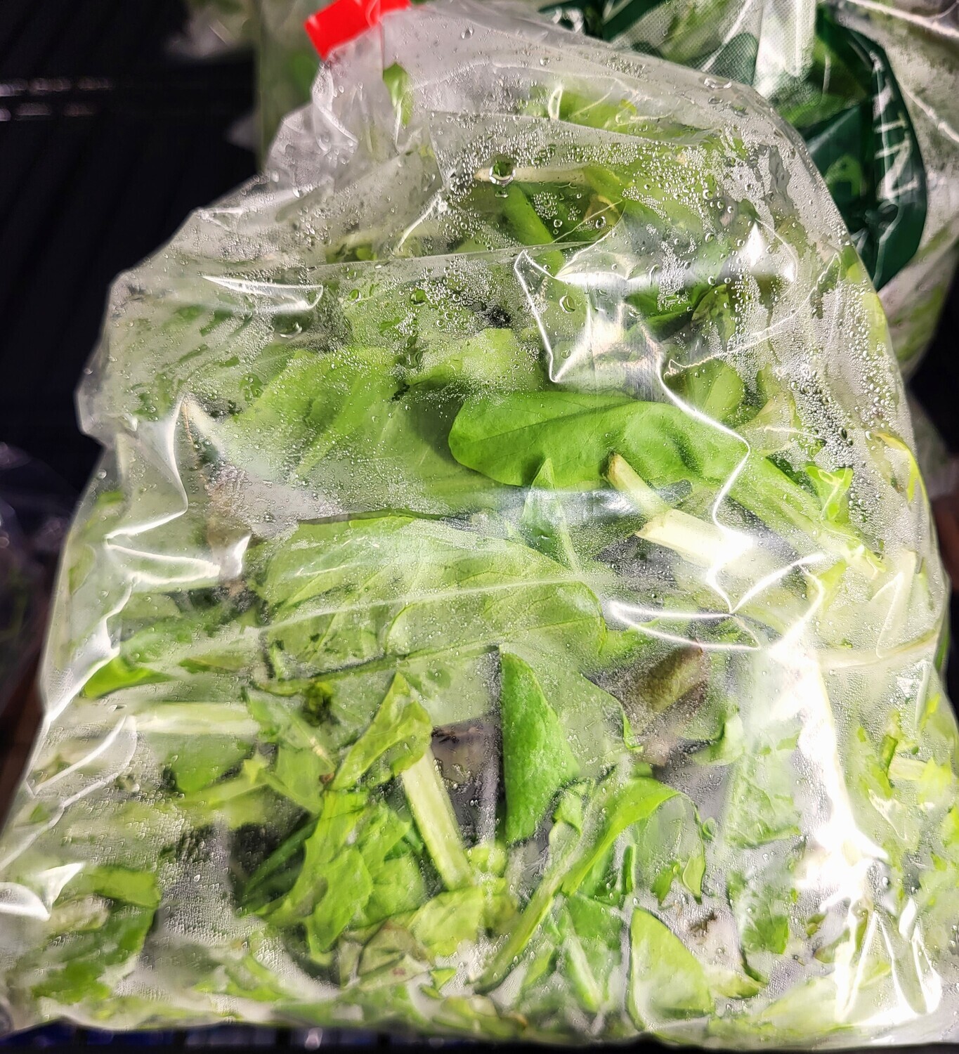 Greens - Lettuce Mix - SKF