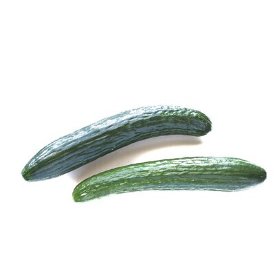 Cucumbers - English - GPF