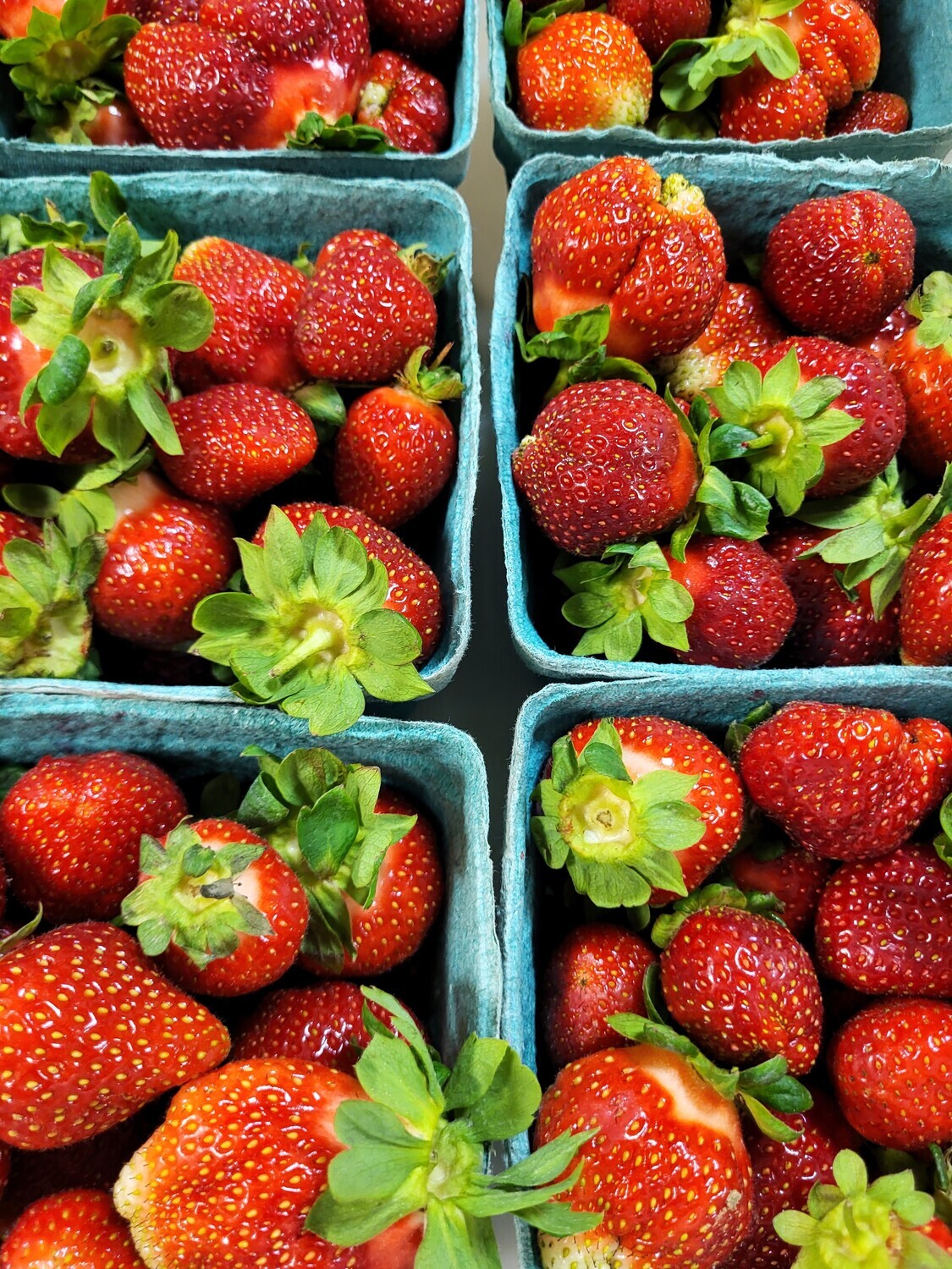 Strawberry - Pint - CM