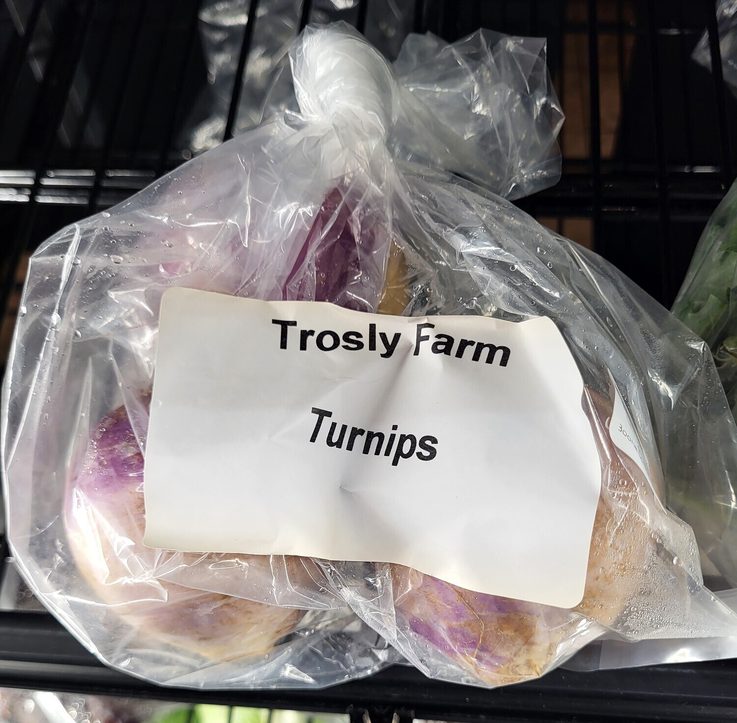 Turnips - Trosly