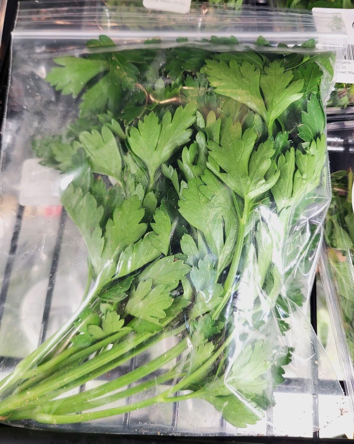 Herbs - Parsley - SKF