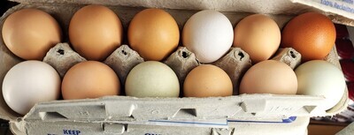 Eggs - Dozen - LPF