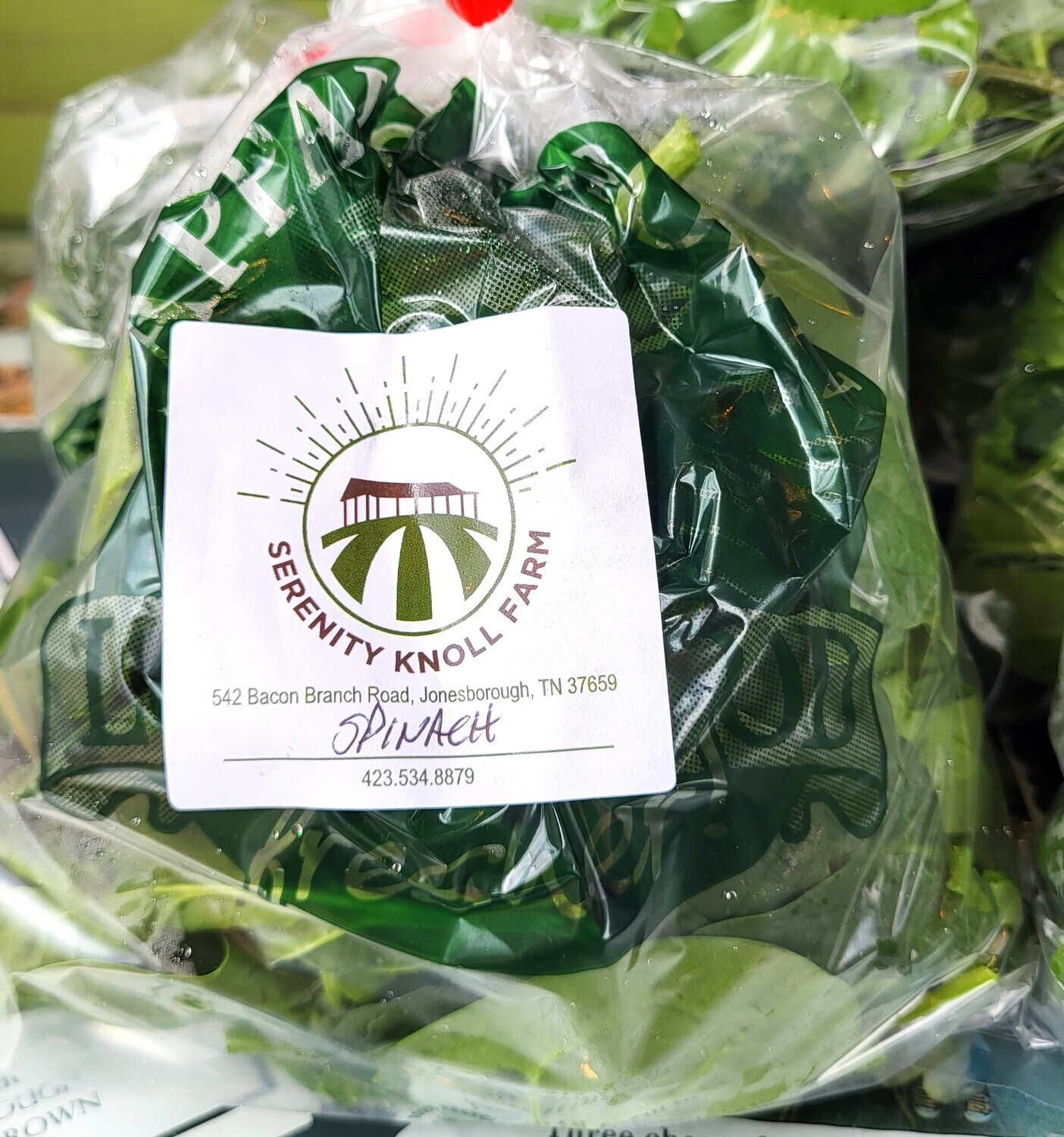 Greens - Spinach - SKF