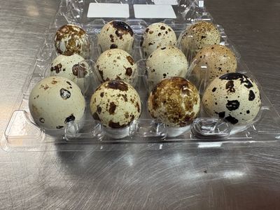 Eggs - Quail - PH