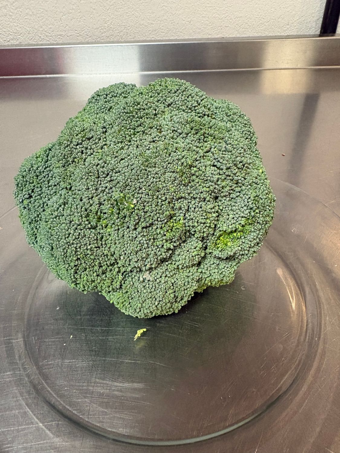 Broccoli - Trosly