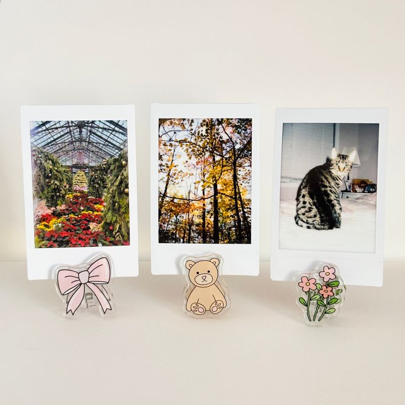 cute acrylic journal clips