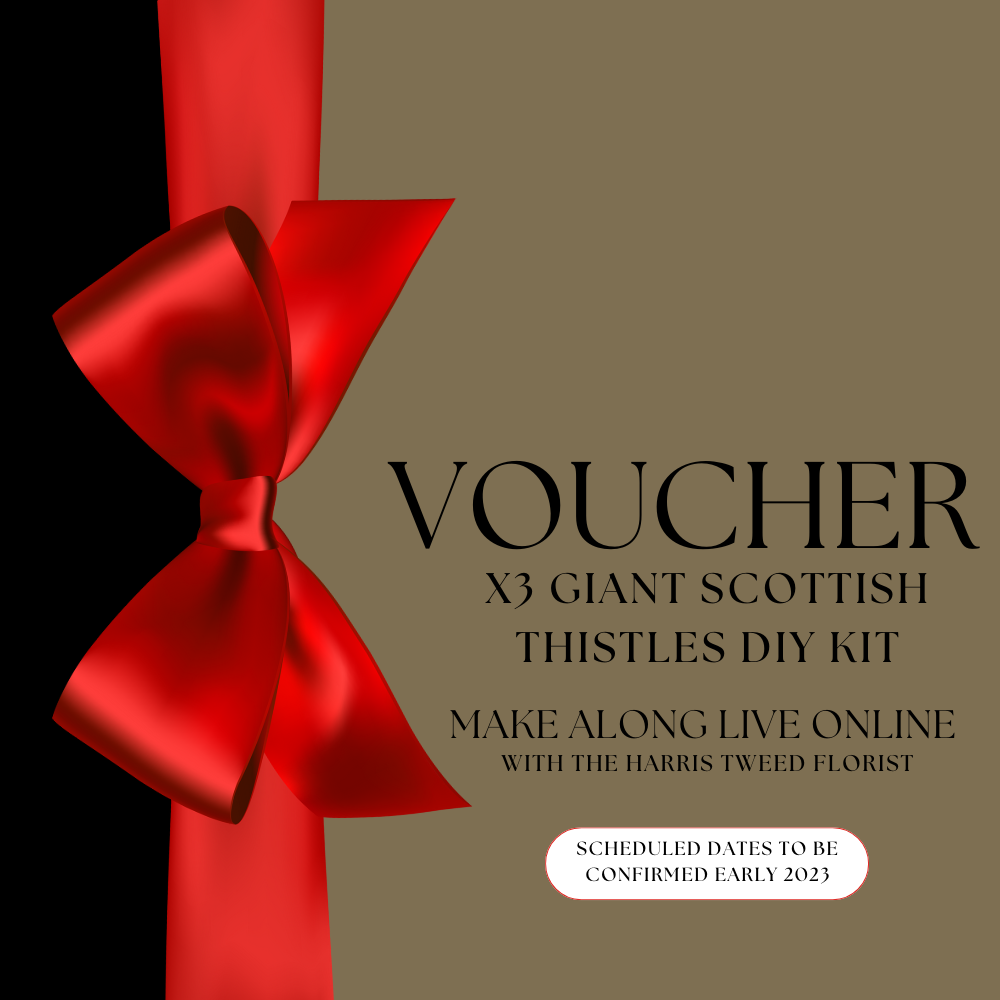 DIY Giant Scottish Thistles Kit Voucher