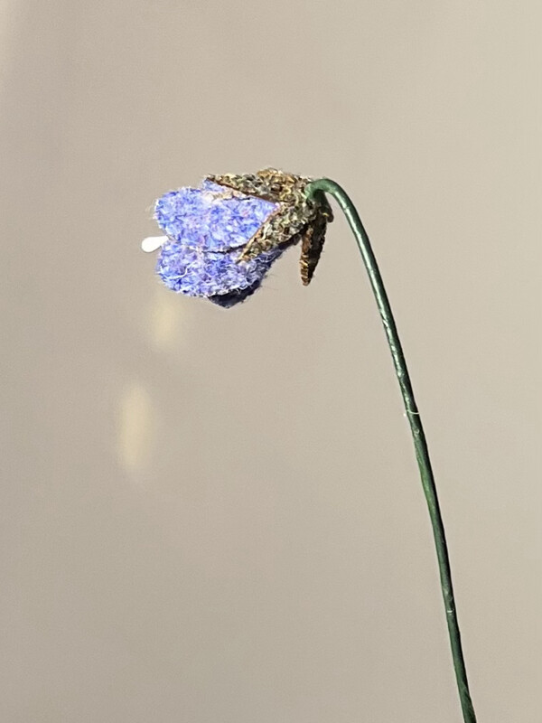 Harris Tweed® Flower Stem - Harebell