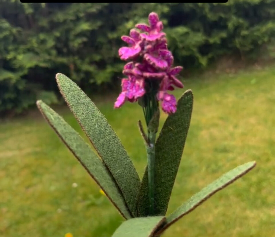 Harris Tweed® Flower Stem - Wild Orchid